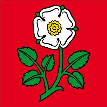 Uznach flag